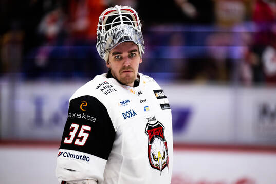 Malmö Redhawks målvakt Adam Werner deppar