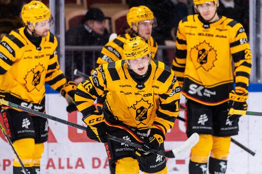 Bläddra bland fler bilder av Ishockey, SHL, Luleå - Skellefteå