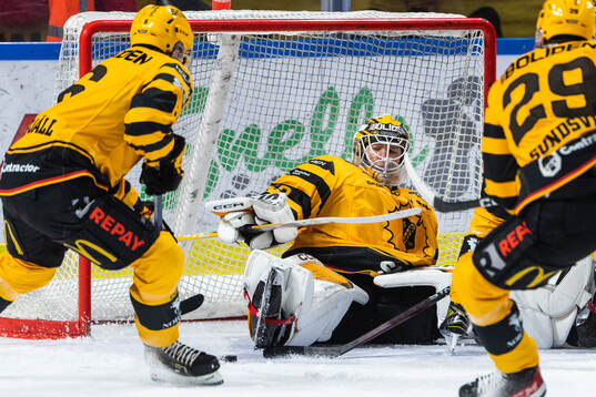 Skellefteås målvakt Linus Söderström