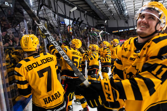 Skellefteås spelare jublar