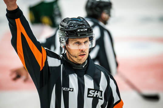 Domare Johan Magnusson