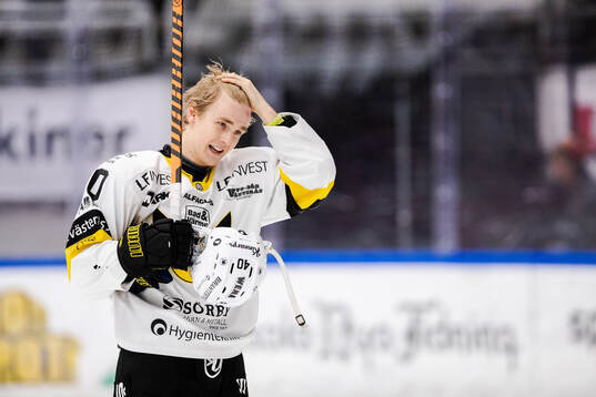 Västerås Isak Skedung