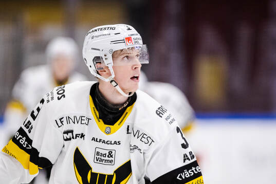 Västerås Ludvig Östman