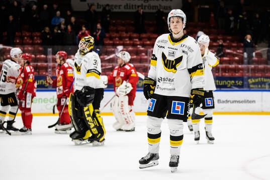 Västerås Ludvig Östman deppar