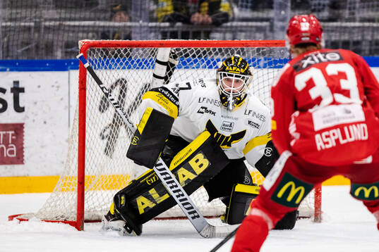 Västerås målvakt Johan Gustafsson