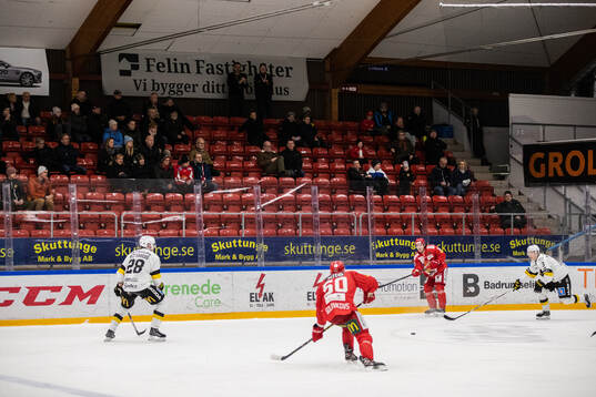 Publiken i Upplands Bilforum Arena följer spelet