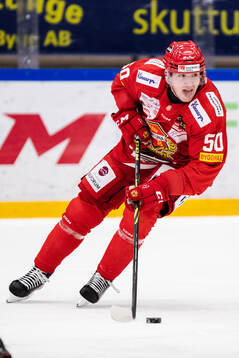 Almtunas Georgs Golovkovs