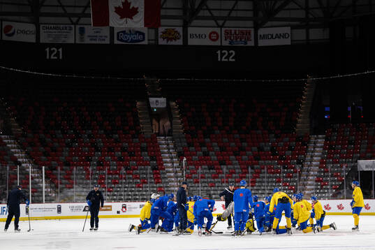 Players of Sweden