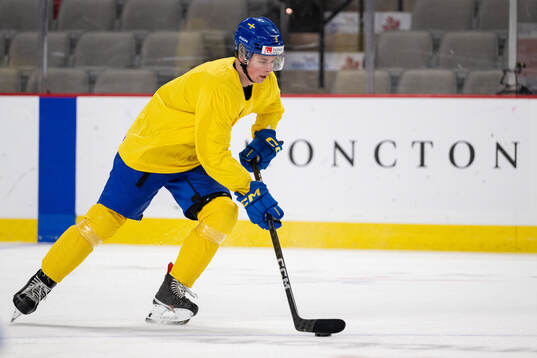 Ludvig Jansson of Sweden