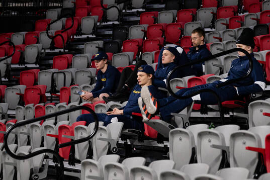 Victor Sjöholm , goaltender Carl Lindbom , Elias