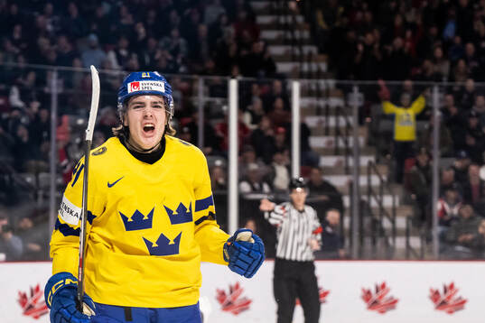 Leo Carlsson of Sweden celebrates