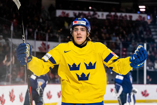 Leo Carlsson of Sweden celebrates