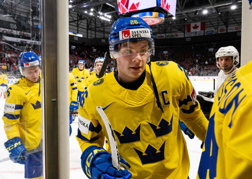 Victor Stjernborg of Sweden celebrates