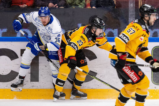 Leksands Lucas Elvenes och Luleås Jesper Sellgren
