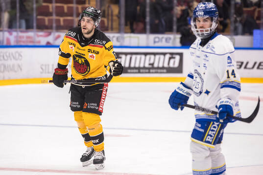 Luleås Konstantin Komarek deppar