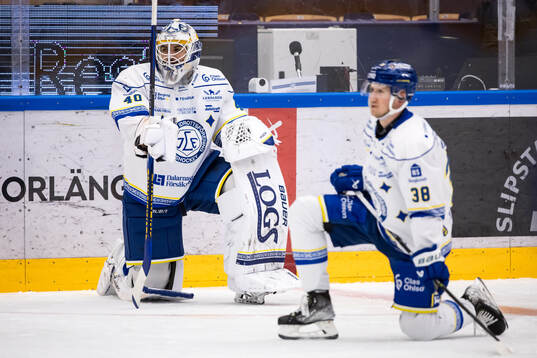 Leksands målvakt Mantas Armalis