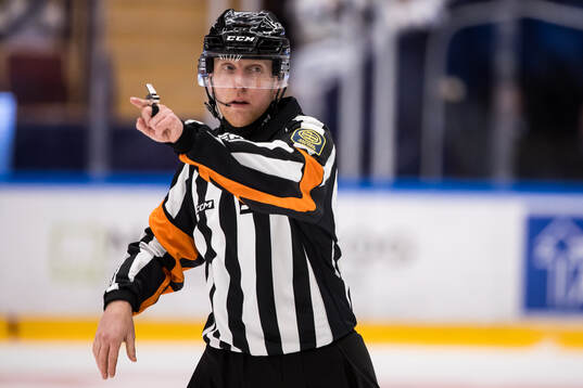 Domare Mikael Holm