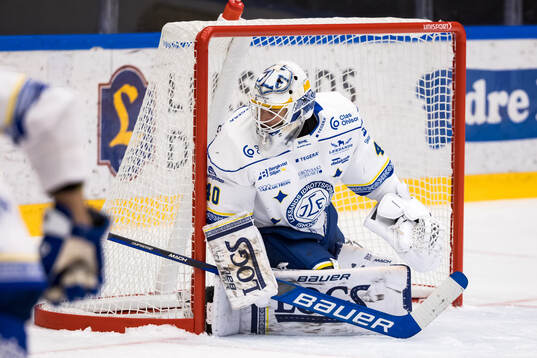 Leksands målvakt Mantas Armalis
