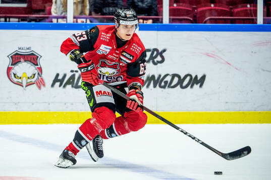 Malmö Redhawks Fredrik Händemark
