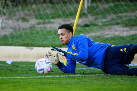 goalkeeper Oliver Dovin of the Swedish national football