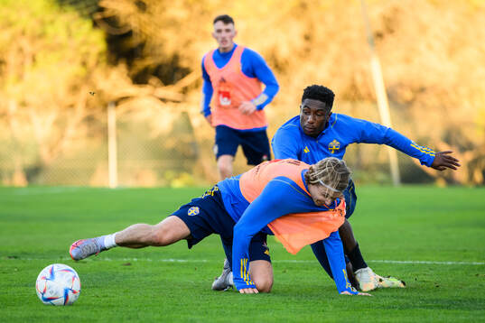 Sebastian Nanasi and Josafat Mendes of the Swedish national