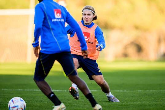 Sebastian Nanasi of the Swedish national football team at a