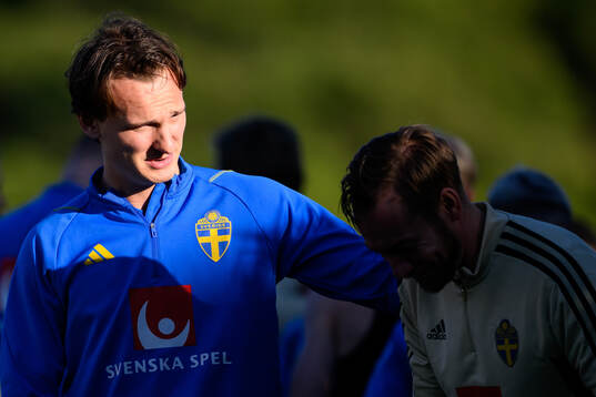 Hjalmar Ekdal of the Swedish national football team at a