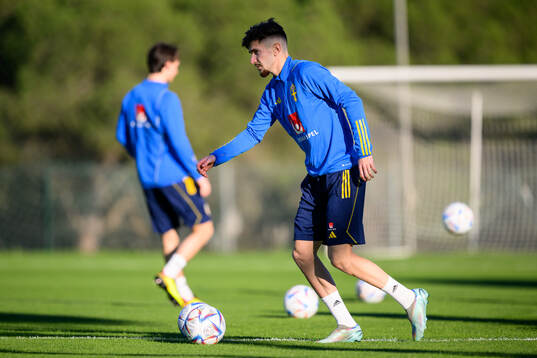 Armin Gigovic of the Swedish national football team at a