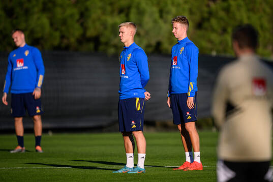 Carl Gustafsson and Samuel Gustafson of the Swedish