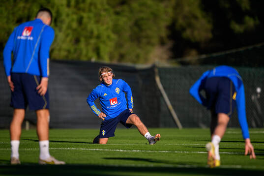 Sebastian Nanasi of the Swedish national football team at a