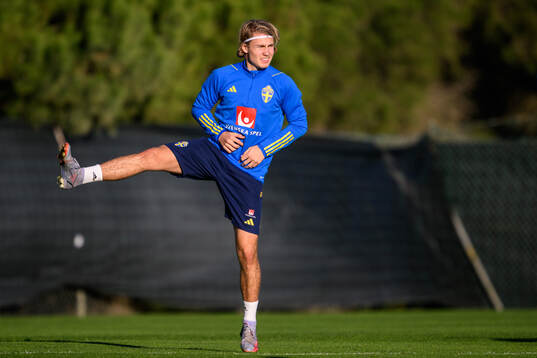 Sebastian Nanasi of the Swedish national football team at a