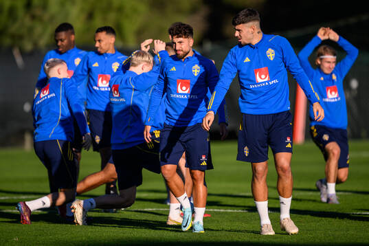 Moustafa Zeidan and Edvin Kurtulus of the Swedish national