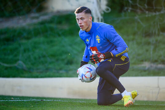 goalkeeper Leopold Wahlstedt of the Swedish national