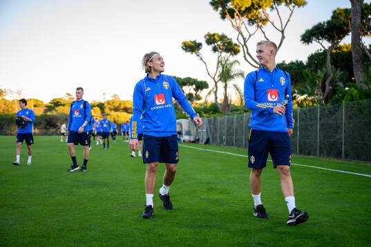 Sebastian Nanasi and Carl Gustafsson of the Swedish