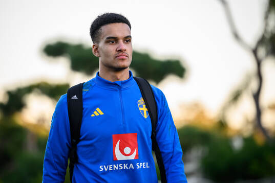 goalkeeper Oliver Dovin of the Swedish national football