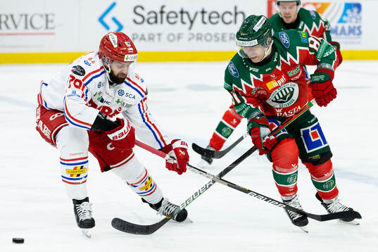 Timrås Robin Hanzl och Frölundas Ryan Lasch