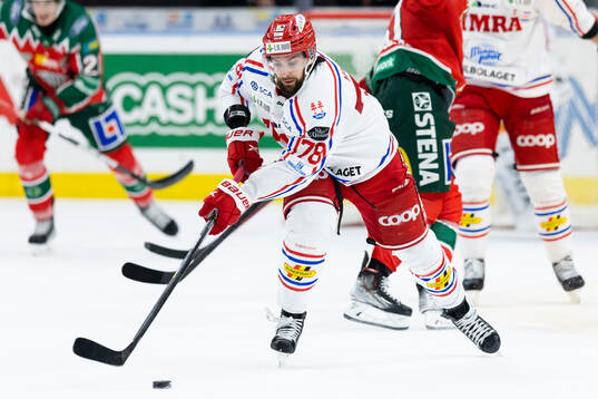Timrås Robin Hanzl