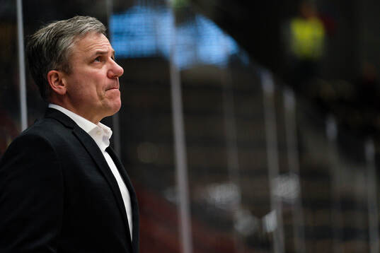 HV71s assisterande tränare Fredrik Stillman
