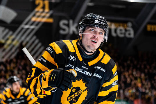 Skellefteås Max Lindholm jublar