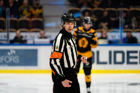 Domare Mikael Andersson