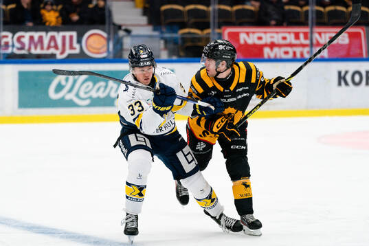 HV71s Måns Lindbäck och Skellefteås Andreas Wingerli