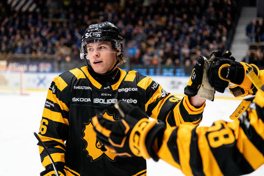 Skellefteås Rickard Hugg jublar