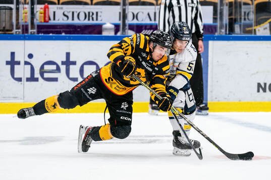 Skellefteås Andreas Wingerli och HV71s Andy Miele