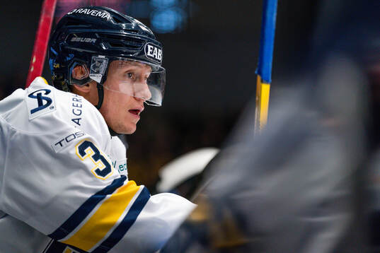 HV71s Daniel Glad deppar