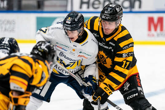 HV71s Herman Hansson och Skellefteås Max Lindholm