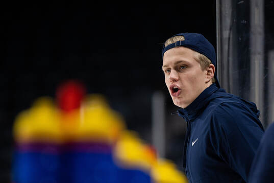 Elias Pettersson of Sweden