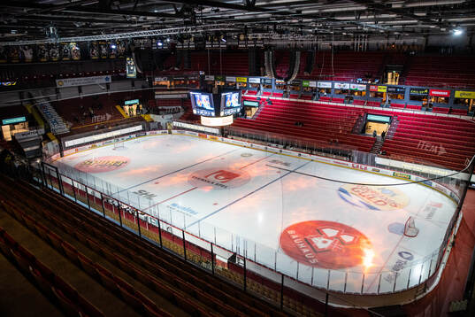 Monitor ERP Arena