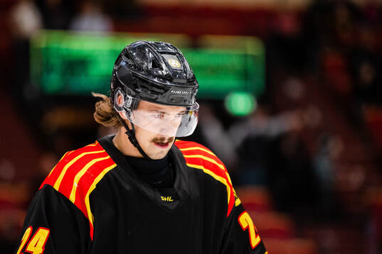 Brynäs Hannes Björninen