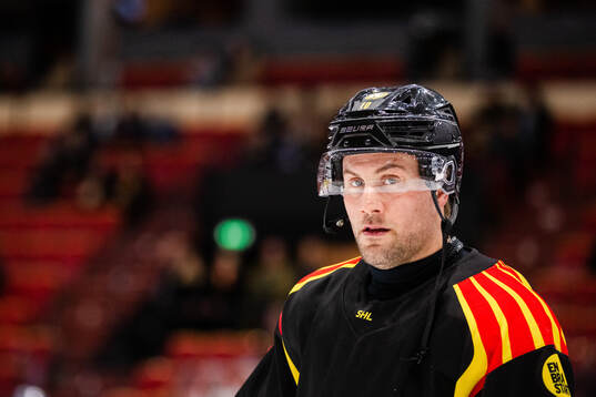 Brynäs Johan Larsson