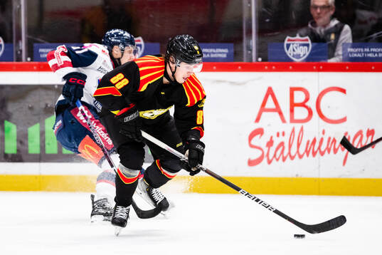 Brynäs Dmytro Timashov